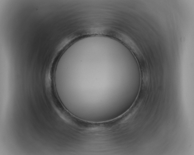 X0000114410674200910231133