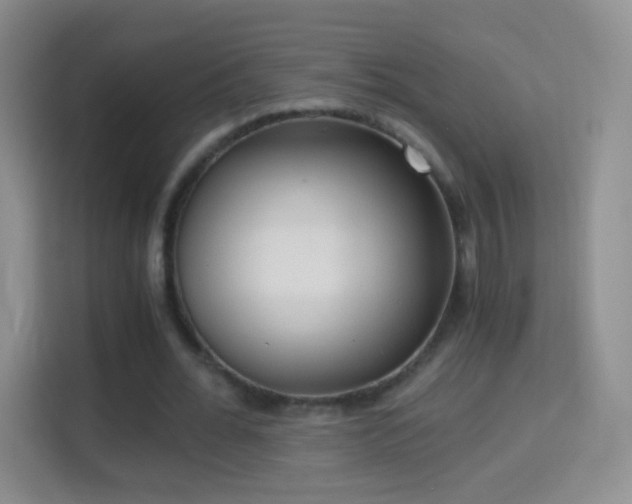 X0000114410676200910231133