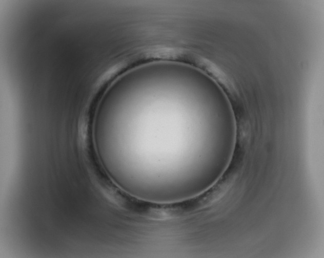 X0000114410679200910231133