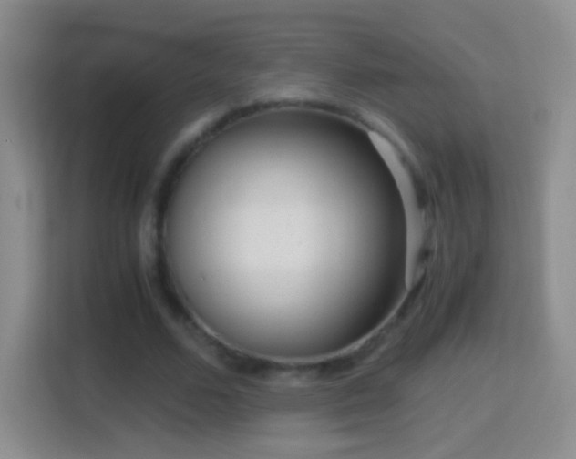 X0000114410680200910231133