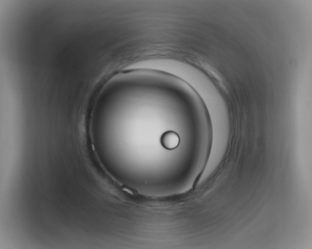 X0000114410681200910231133