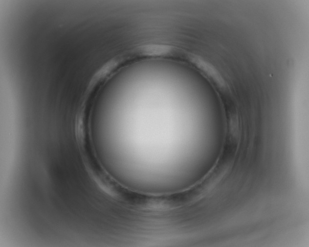 X0000114410682200910231133
