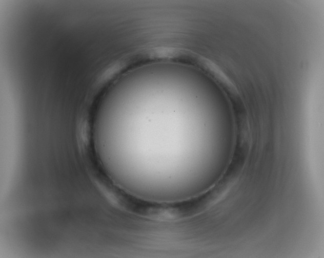 X0000114410683200910231133