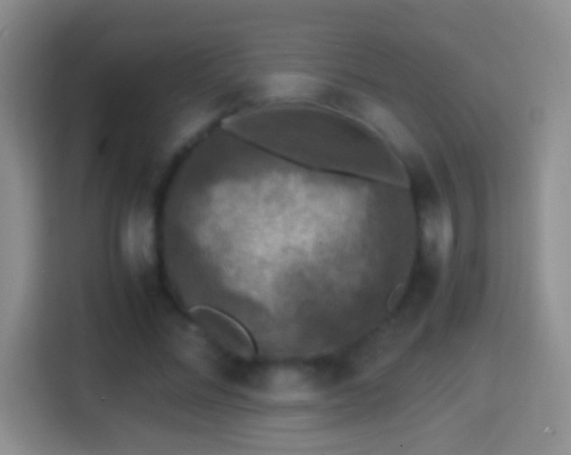 X0000114410684200910231132