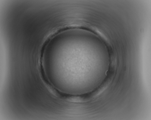 X0000114410685200910231132