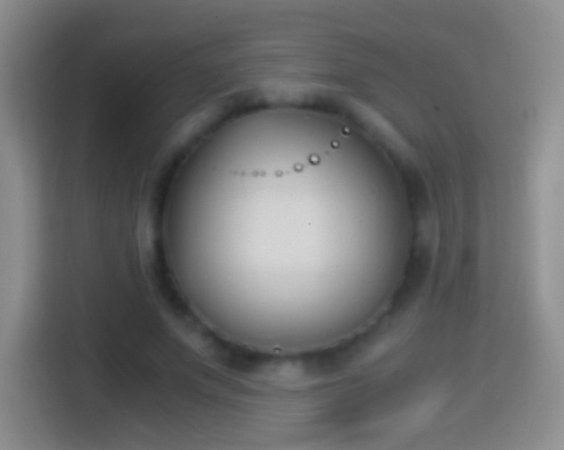 X0000114410687200910231132