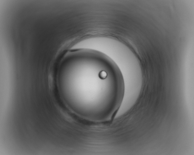 X0000114410688200910231132