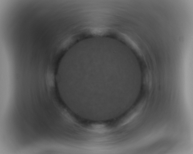 X0000114410689200910231132