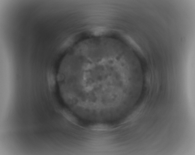 X0000114410691200910231132