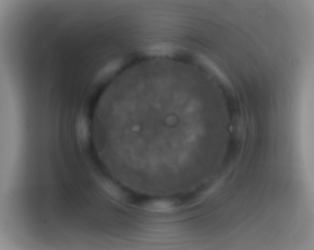 X0000114410692200910231132