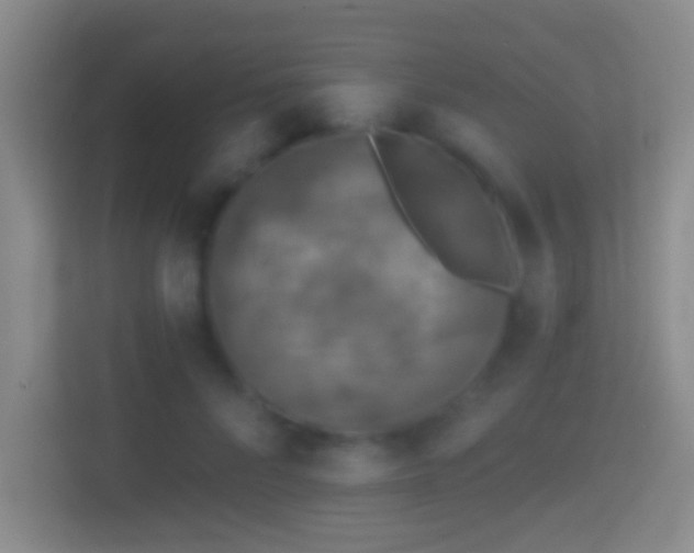 X0000114410696200910231132