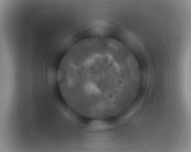 X0000114410699200910231132