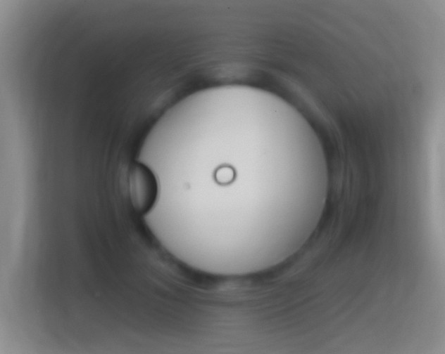 X0000114410700200910231132