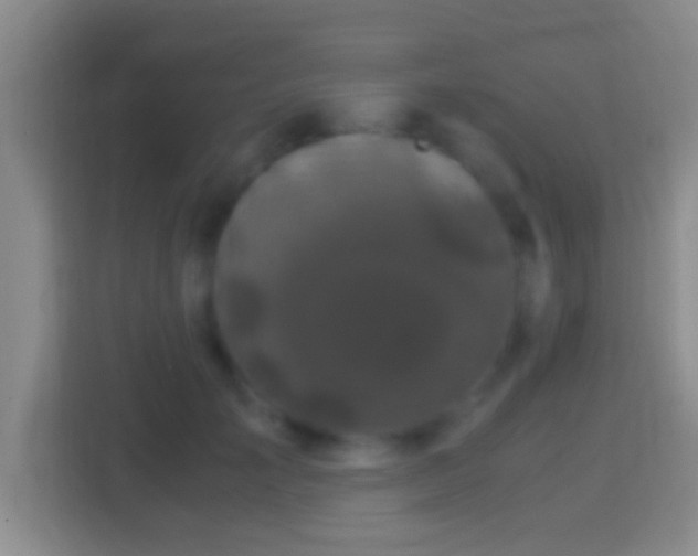 X0000114410701200910231132