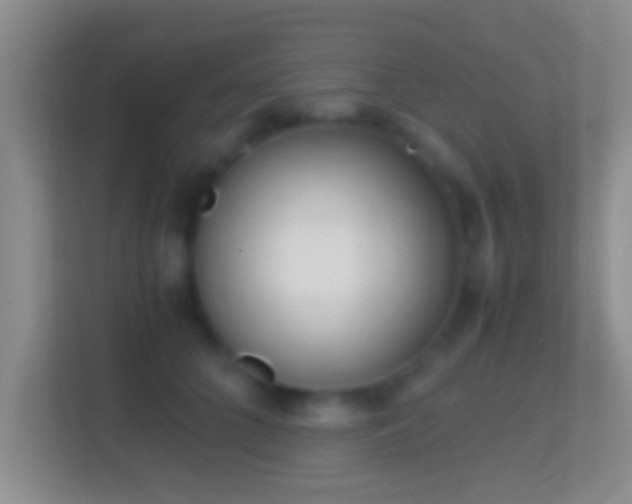X0000114410704200910231132