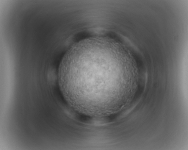 X0000114410707200910231132
