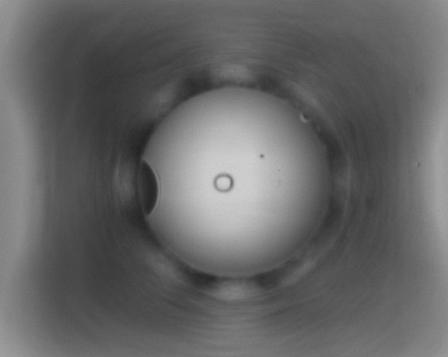 X0000114410708200910231132