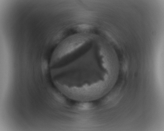 X0000114410711200910231132