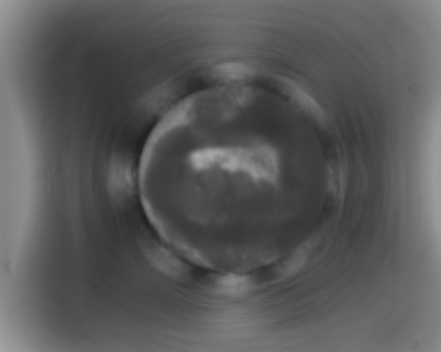 X0000114410718200910231132