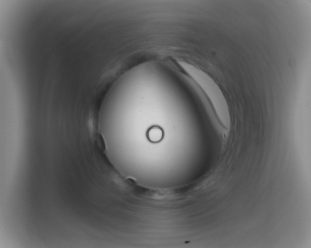 X0000114410720200910231132