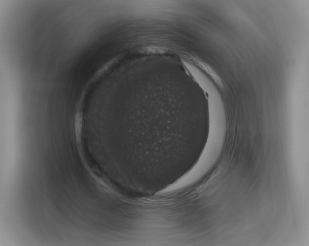 X0000114410722200910231131