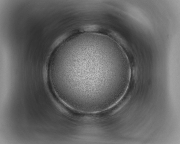 X0000114410725200910231131