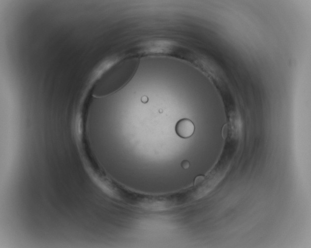 X0000114410726200910231131