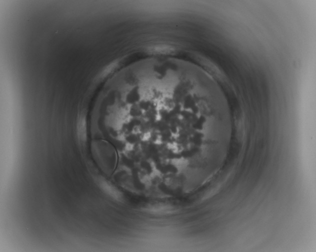 X0000114410729200910231132