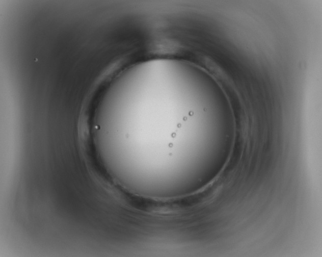 X0000114410731200910231132