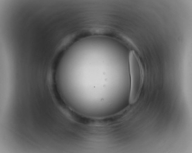 X0000114410738200910231132