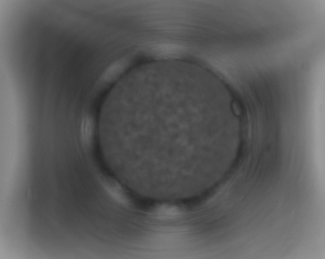 X0000114410742200910231132