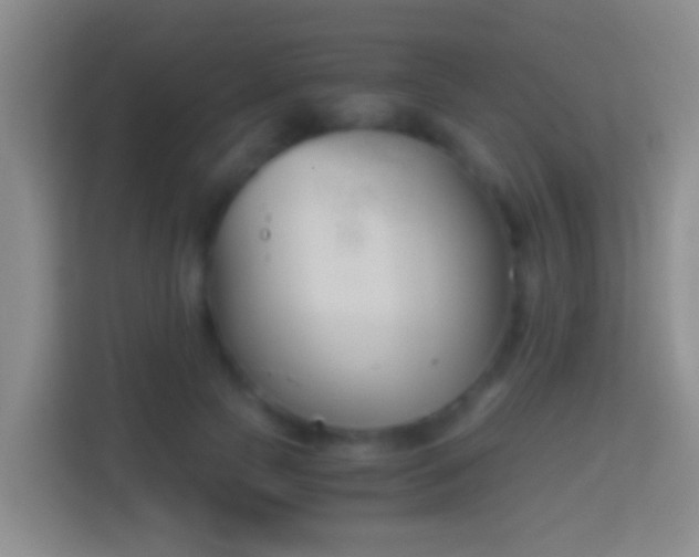 X0000114410745200910231132