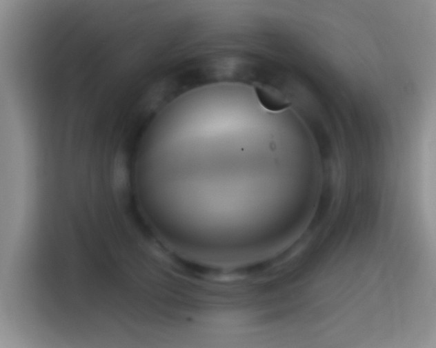 X0000114410754200910231132