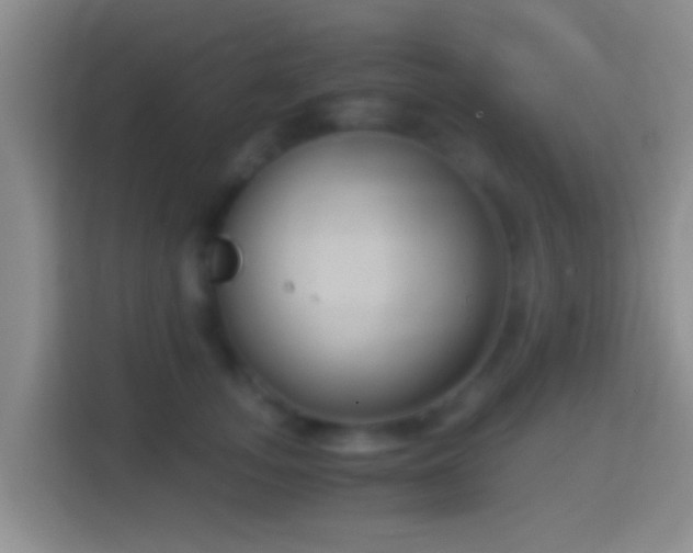 X0000114410755200910231132