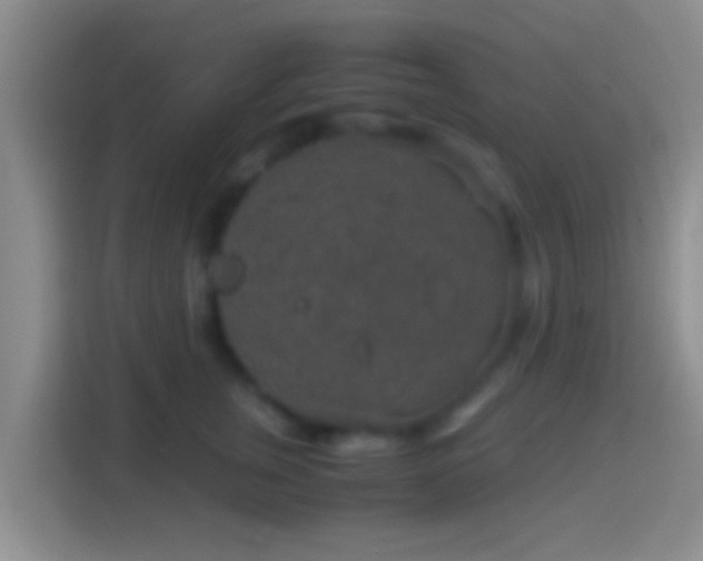 X0000114410759200910231132