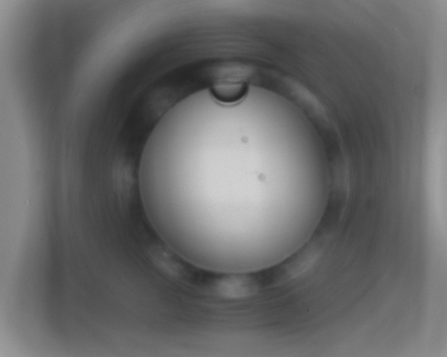 X0000114410761200910231132