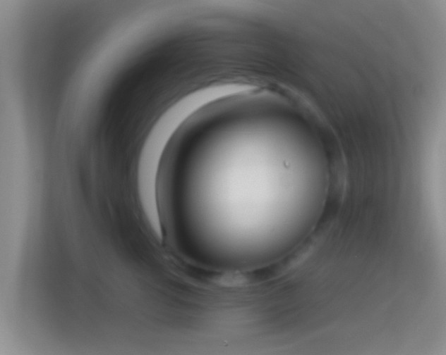 X0000114410762200910231132