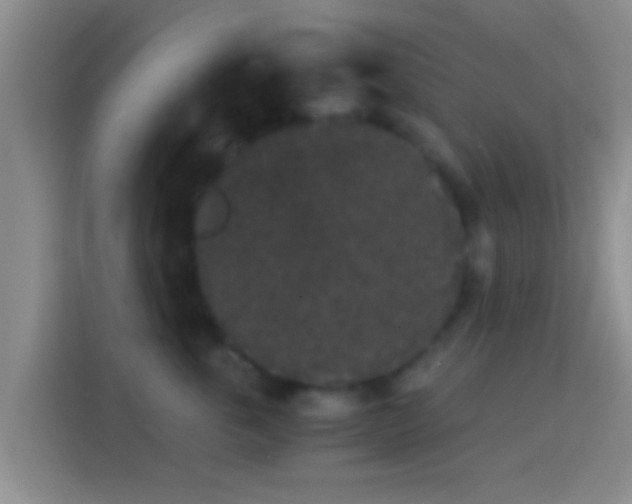 X0000114410763200910231132