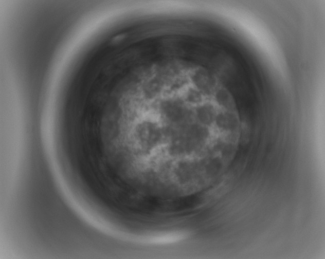 X0000114410765200910231132
