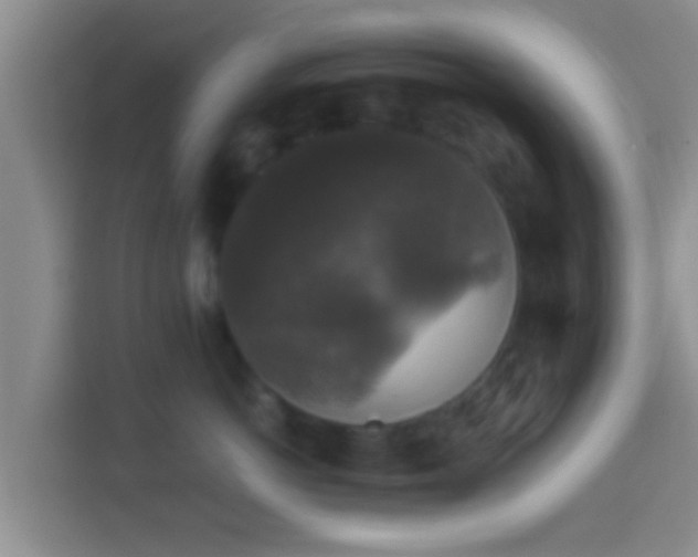 X0000114410766200910231132