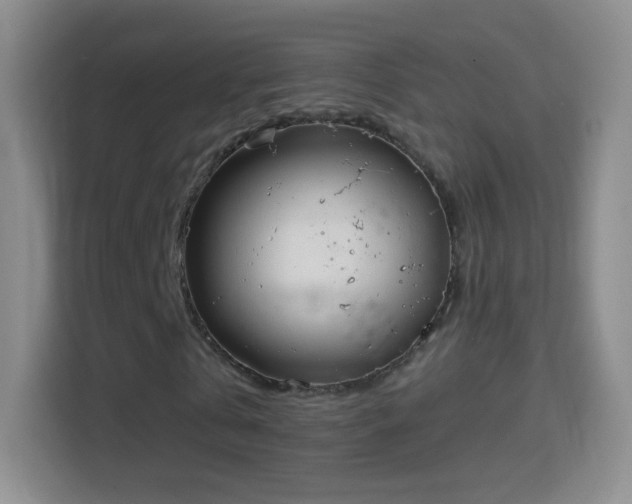 X0000114410769200910231131