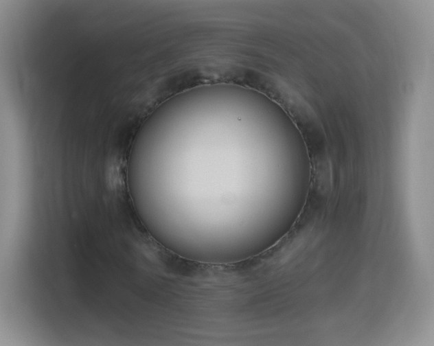 X0000114410770200910231131
