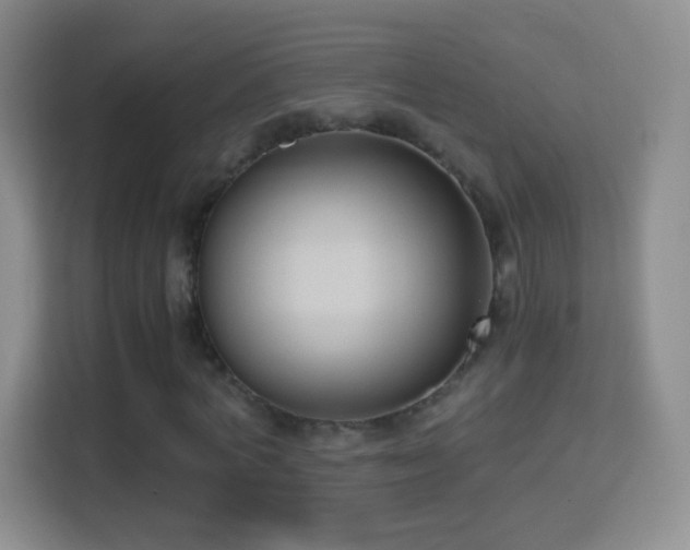 X0000114410772200910231131