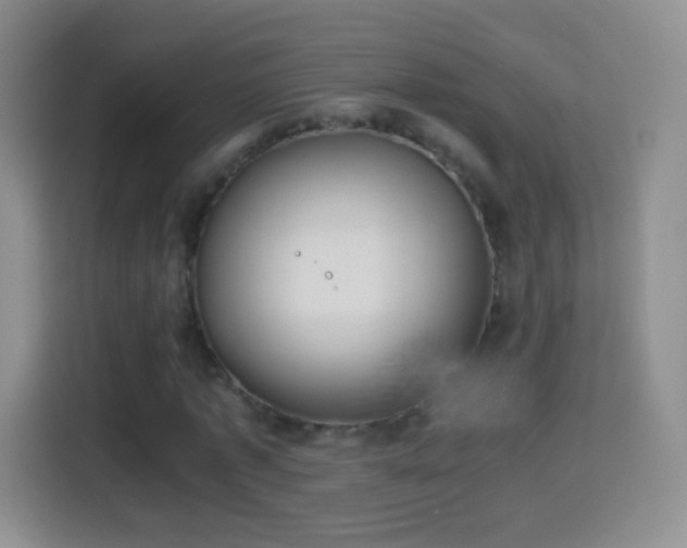 X0000114410773200910231131