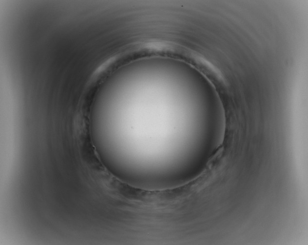 X0000114410776200910231131