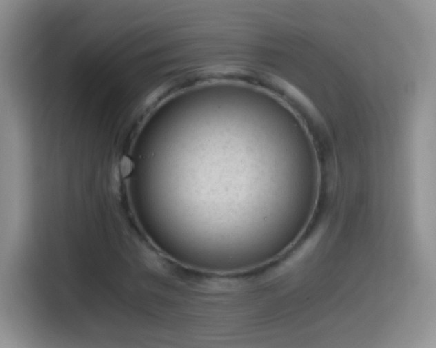X0000114410777200910231131