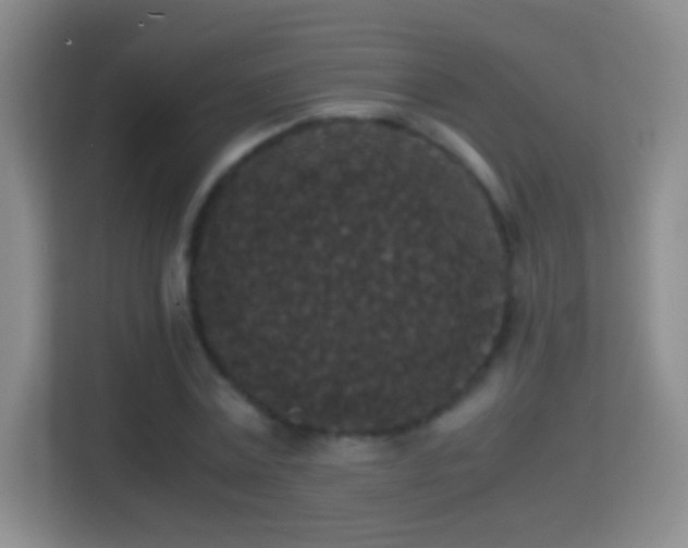X0000114410779200910231131
