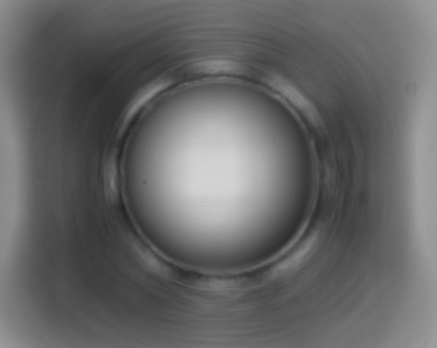 X0000114410782200910231131
