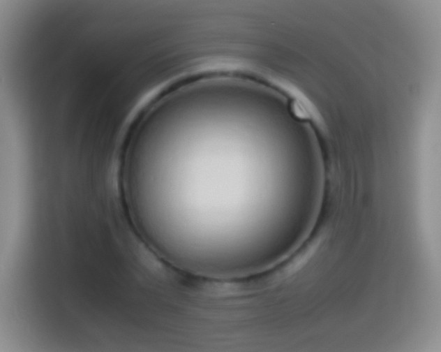 X0000114410783200910231131