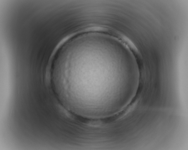 X0000114410784200910231131